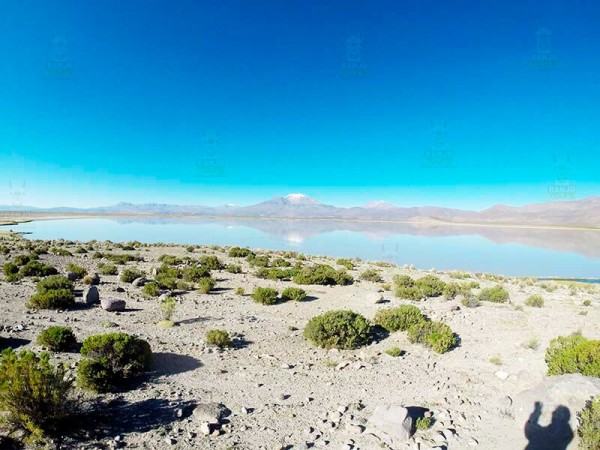 LA PAZ TO UYUNI VIA SAJAMA NATIONAL PARK – 5 DAYS