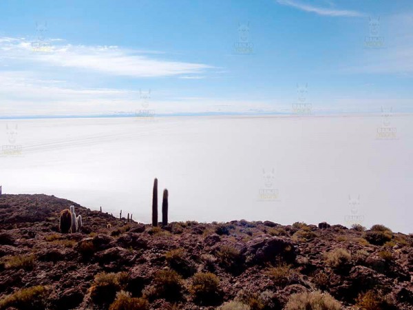 UYUNI OVERLANDER: LA PAZ TO UYUNI VIA SAJAMA NATIONAL PARK W/ MIX OF ROOF-TOP CAMPING & HOTELS – 6 DAYS