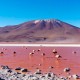 UYUNI OVERLANDER: LA PAZ TO UYUNI VIA SAJAMA NATIONAL PARK W/ MIX OF ROOF-TOP CAMPING & HOTELS – 6 DAYS