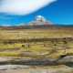 tours de uyuni al salar