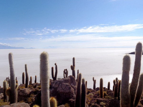 SALAR DE UYUNI VIA SAJAMA – 3 DAYS TOUR FROM LA PAZ