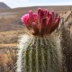 SALAR DE UYUNI VIA SAJAMA – 4 DAY TOUR FROM LA PAZ