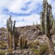 SALAR DE UYUNI VIA SAJAMA – 4 DAY TOUR FROM LA PAZ