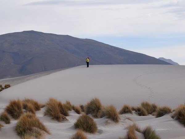 SALAR DE UYUNI VIA SAJAMA – 4 DAY TOUR FROM LA PAZ