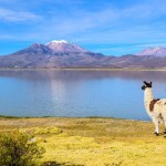 LA PAZ TO TUPIZA (OR VICE VERSA) VIA SAJAMA & UYUNI - 7 DAYS