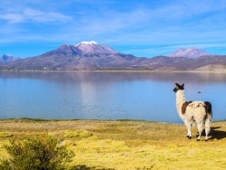 LA PAZ TO TUPIZA (OR VICE VERSA) VIA SAJAMA & UYUNI - 7 DAYS