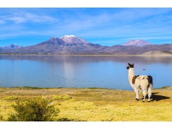 LA PAZ TO TUPIZA (OR VICE VERSA) VIA SAJAMA & UYUNI - 7 DAYS