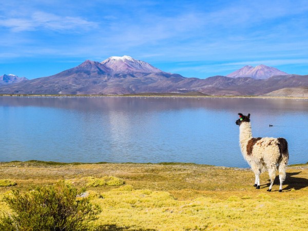 LA PAZ TO TUPIZA (OR VICE VERSA) VIA SAJAMA & UYUNI - 7 DAYS