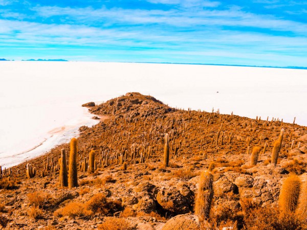 LA PAZ TO TUPIZA (OR VICE VERSA) VIA SAJAMA & UYUNI - 7 DAYS