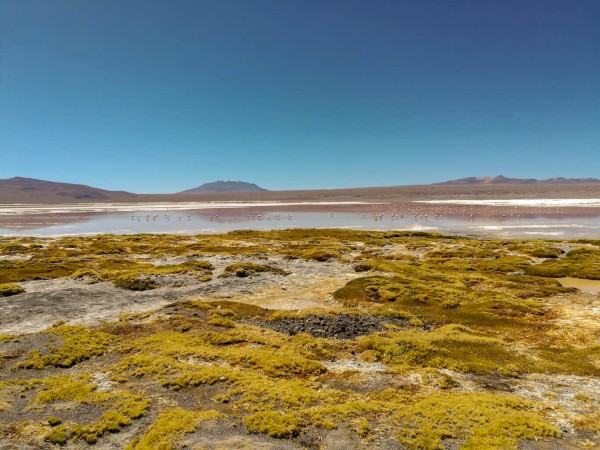 LA PAZ TO TUPIZA (OR VICE VERSA) VIA SAJAMA & UYUNI - 7 DAYS