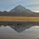 LA PAZ TO TUPIZA (OR VICE VERSA) VIA SAJAMA & UYUNI - 7 DAYS