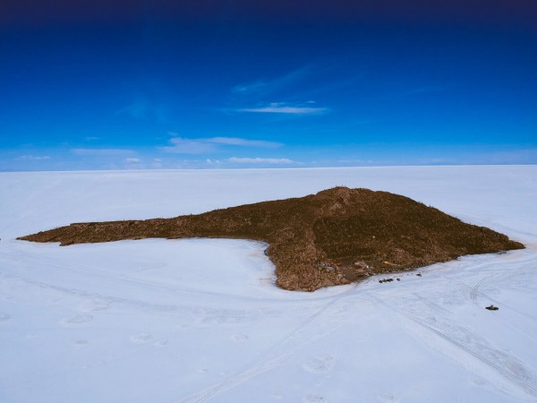 UYUNI SALT FLATS FULL DAY - 1 DAY TOUR FROM UYUNI OR LA PAZ