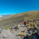 SALAR DE UYUNI - 2 DAY TOUR (SALT FLATS ONLY)