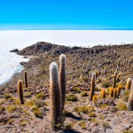 SALAR DE UYUNI & LAGOONS - 2 DAY TOUR (INCL. SALT FLATS & ANDEAN LAGOONS)