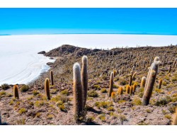 SALAR DE UYUNI & LAGOONS - 2 DAY TOUR (INCL. SALT FLATS & ANDEAN LAGOONS)