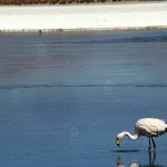 CLASSIC UYUNI SALT FLATS TOUR - 3 DAYS
