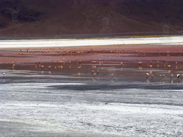 CLASSIC UYUNI SALT FLATS TOUR - 3 DAYS