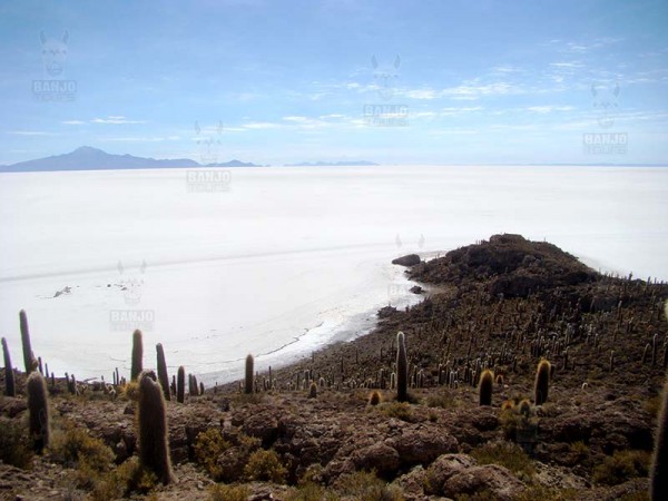 CLASSIC UYUNI SALT FLATS TOUR - 3 DAYS