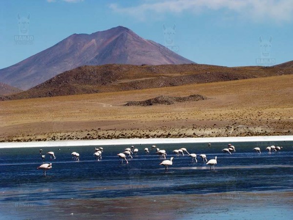 CLASSIC UYUNI SALT FLATS TOUR - 3 DAYS