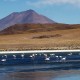 CLASSIC UYUNI SALT FLATS TOUR - 3 DAYS