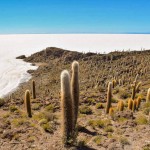 CLASSIC UYUNI SALT FLATS & EDUARDO AVAROA RESERVE - 4 DAYS