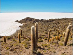 CLASSIC UYUNI SALT FLATS & EDUARDO AVAROA RESERVE - 4 DAYS