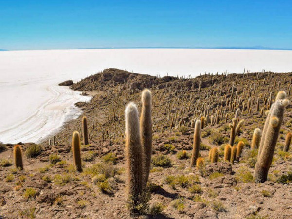 UYUNI SALT FLATS & EDUARDO AVAROA RESERVE - 4 DAYS