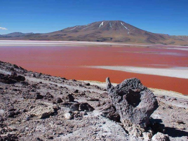 UYUNI SALT FLATS & EDUARDO AVAROA RESERVE - 4 DAYS