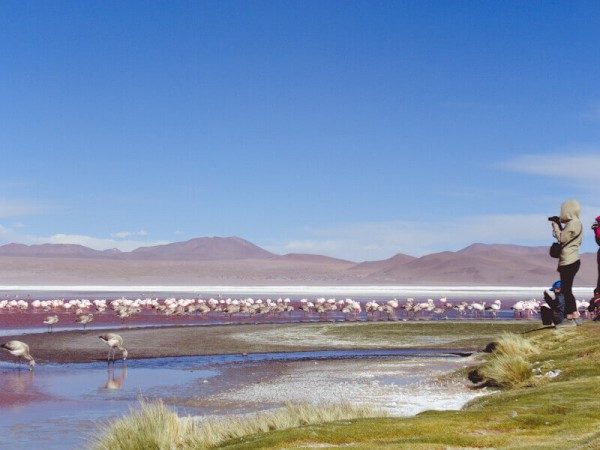 UYUNI SALT FLATS & EDUARDO AVAROA RESERVE - 4 DAYS