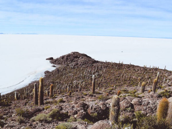 UYUNI SALT FLATS & EDUARDO AVAROA RESERVE - 4 DAYS