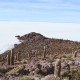 UYUNI SALT FLATS & EDUARDO AVAROA RESERVE - 4 DAYS