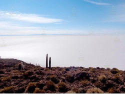 LA PAZ TO UYUNI VIA SAJAMA NATIONAL PARK – 5 DAYS