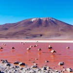 LA PAZ TO UYUNI VIA SAJAMA NP – 7 DAYS