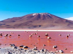 LA PAZ TO UYUNI VIA SAJAMA NP – 7 DAYS